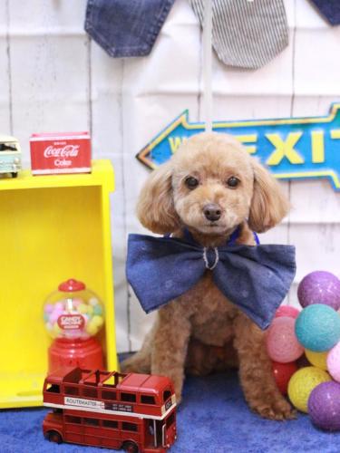 20230418チャロくん